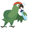 KeaCharacter_Exercise
